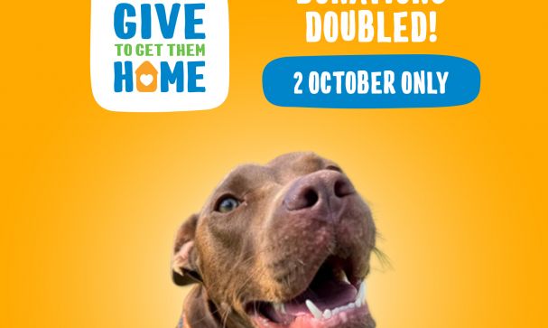 2025 GTGTH Website Banner Image 2000x2000