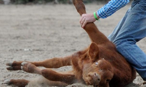Eye white whilst being tied