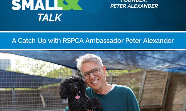 Great Small Talk Peter Alexander Podcast Image