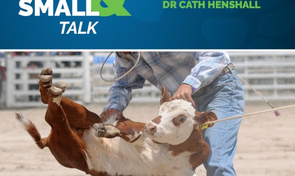 Great Small Talk Rodeos A Cruel Spectacle Web Hero Image