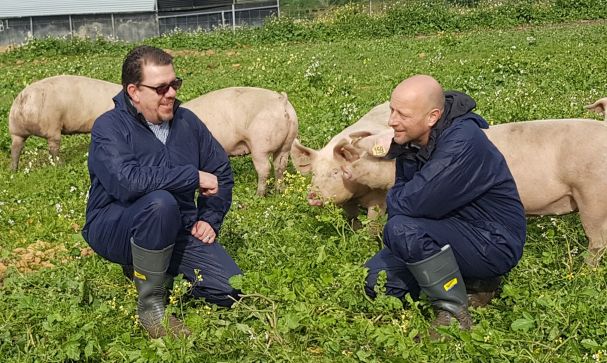 blog good certification