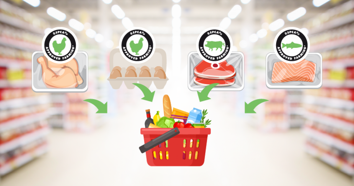 Basket swaps that make a difference RSPCA Australia