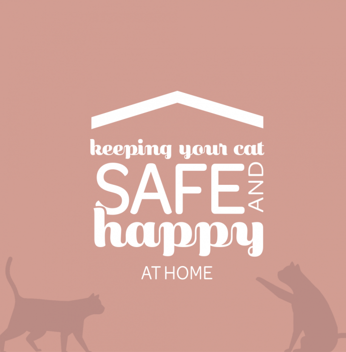 learn safe and happy cats banner