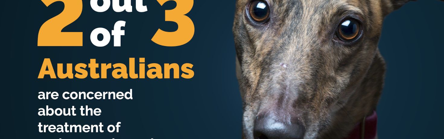 Press 2 in 3 Australians Polling Media Release Graphic