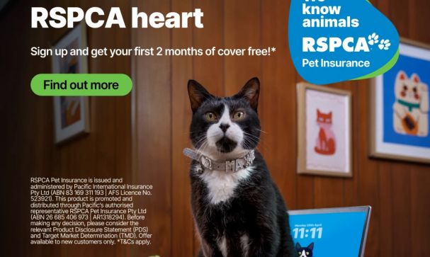 pet insurance pet insurance banner v2