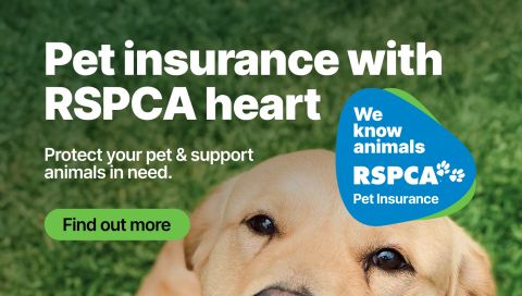 RSPCA Lottery
