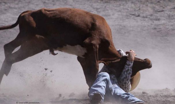 steer wrestling